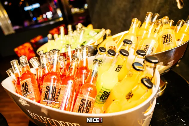 Singles Party / Sinkkubileet kuva 3