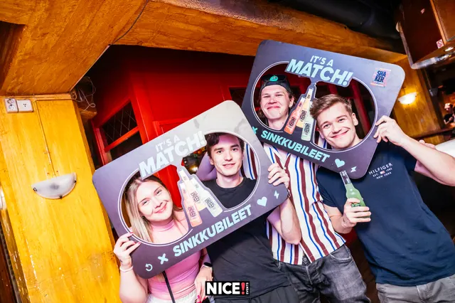 Singles Party / Sinkkubileet kuva 9